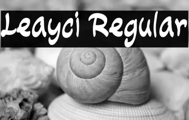 Leayci Regular Example 3