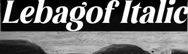 Lebagof Italic Font examples