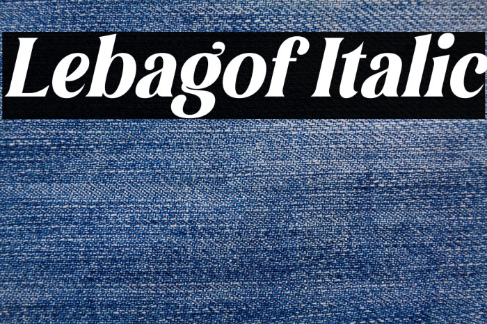 Lebagof Italic Example 2