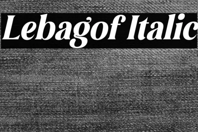 Lebagof Italic Font examples