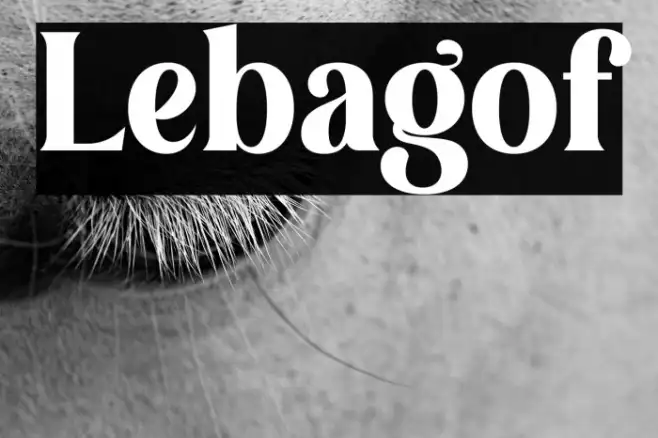 Lebagof Example 1