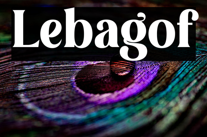 Lebagof Example 2