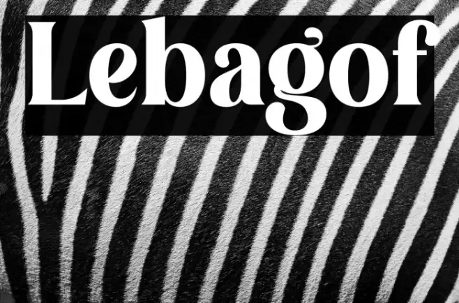 Lebagof Example 3
