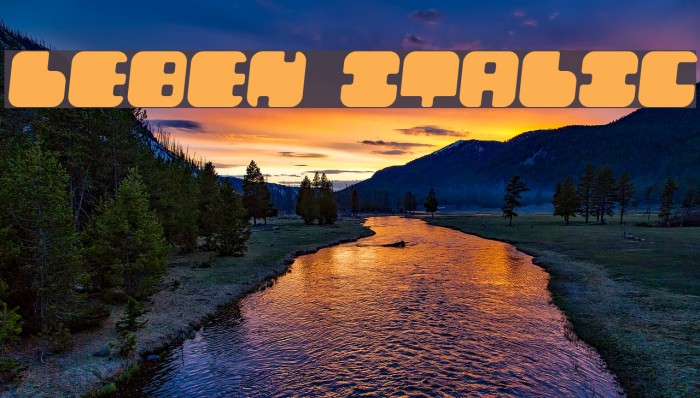 Leben Italic Example 2