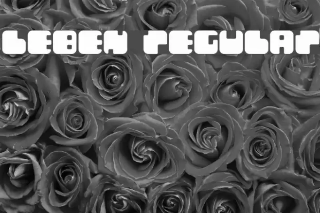 Leben Regular Font examples