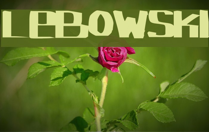 Lebowski Font examples