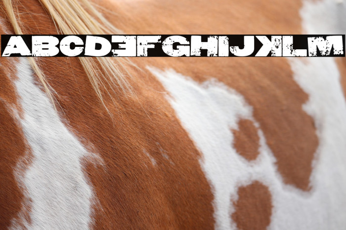 Leche Frita Example 1