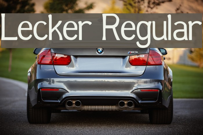 Lecker Regular Example 2