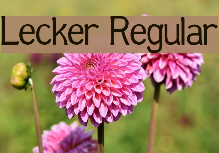 Lecker Regular Example 3