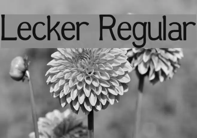 Lecker Regular Font examples