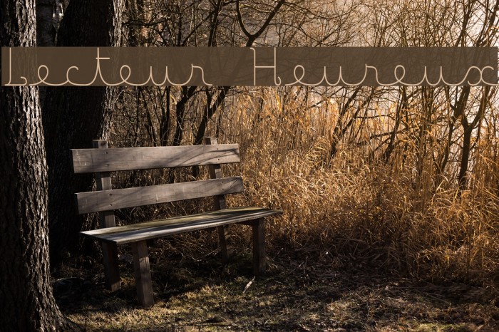 Lecteur Heureux Font examples