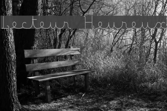 Lecteur Heureux Caratteri examples