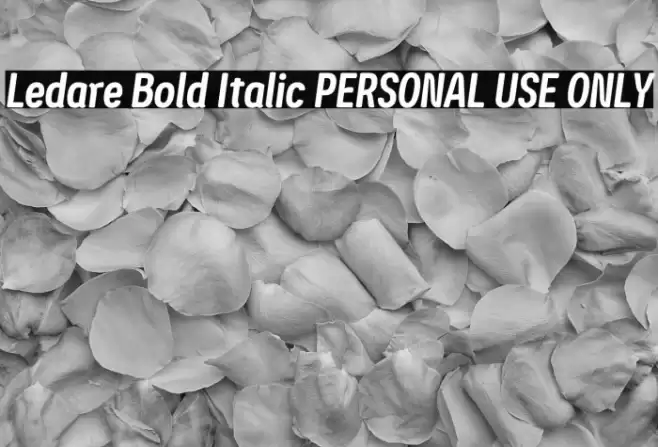 Ledare Bold Italic PERSONAL USE ONLY Font examples