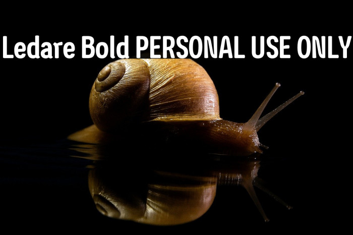 Ledare Bold PERSONAL USE ONLY Example 1