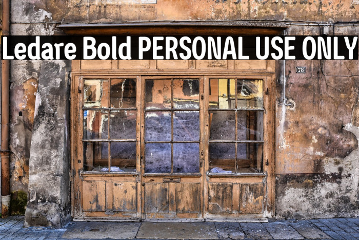 Ledare Bold PERSONAL USE ONLY Example 2