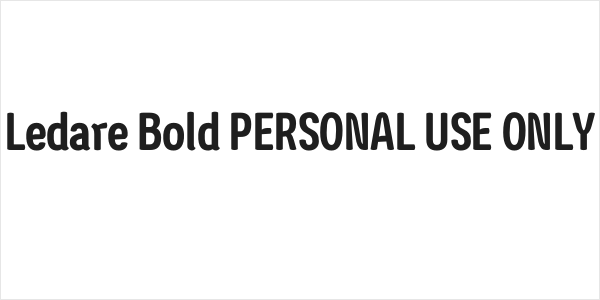 Ledare Bold PERSONAL USE ONLY Logo
