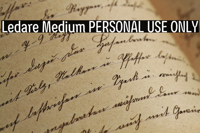 Ledare Medium PERSONAL USE ONLY Example 1