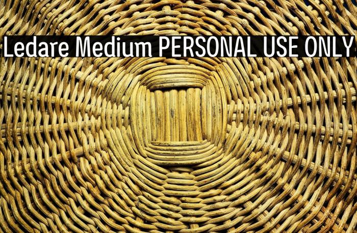 Ledare Medium PERSONAL USE ONLY Example 3