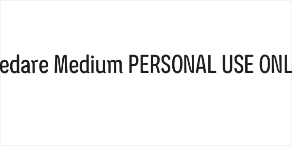 Ledare Medium PERSONAL USE ONLY Logo
