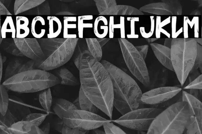 Ledesma Corporation Font examples