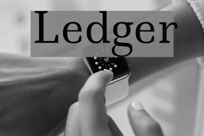 Ledger Example 1