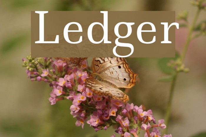 Ledger Font examples