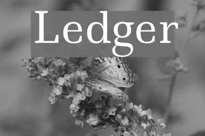 Ledger Example 2