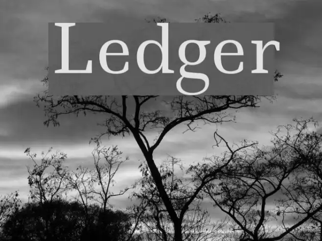 Ledger Example 3