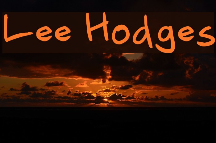 Lee Hodges Example 1