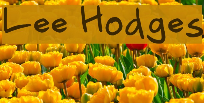 Lee Hodges Example 2