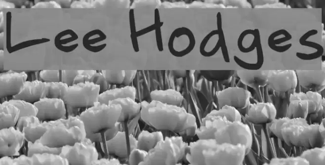 Lee Hodges Font examples