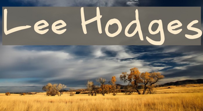 Lee Hodges Example 3