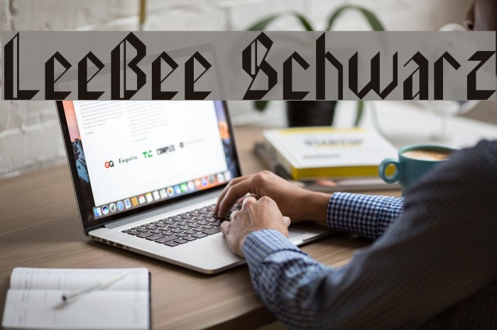 LeeBee Schwarz Example 1