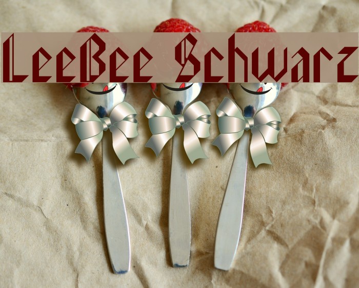 LeeBee Schwarz Example 2