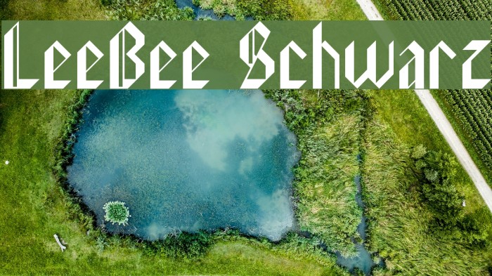 LeeBee Schwarz Example 3