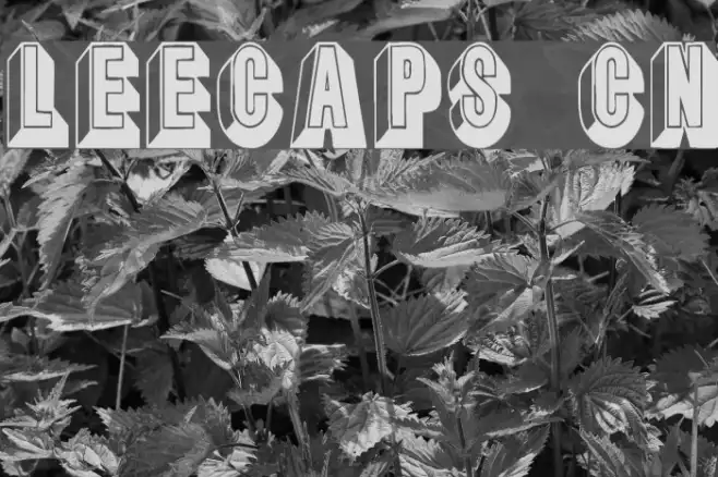 LeeCaps Cn Example 3