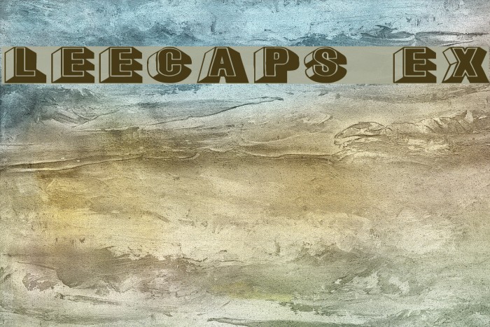 LeeCaps Ex Polices examples