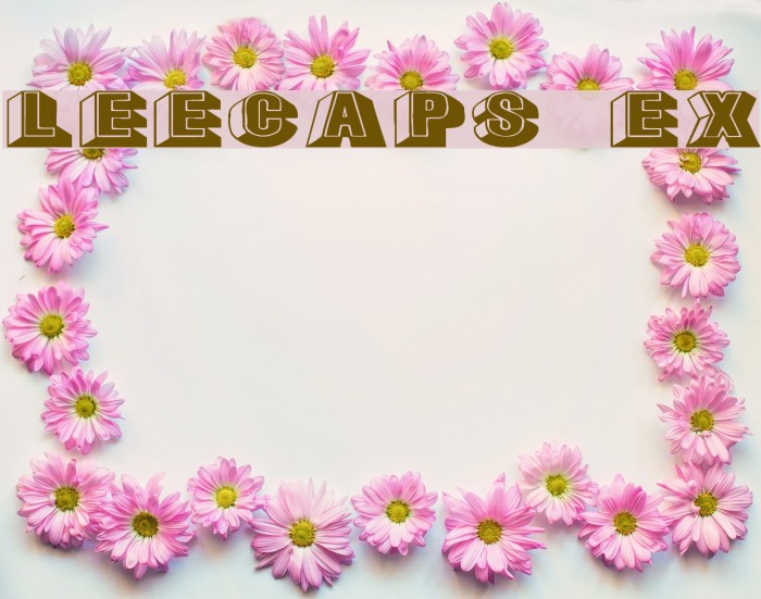 LeeCaps Ex Polices examples