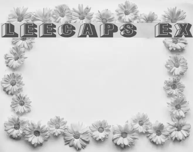 LeeCaps Ex Font examples