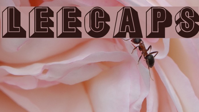 LeeCaps Font examples