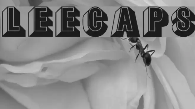 LeeCaps Шрифта examples