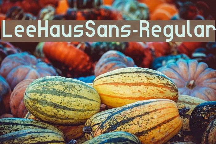 LeeHausSans-Regular Font examples