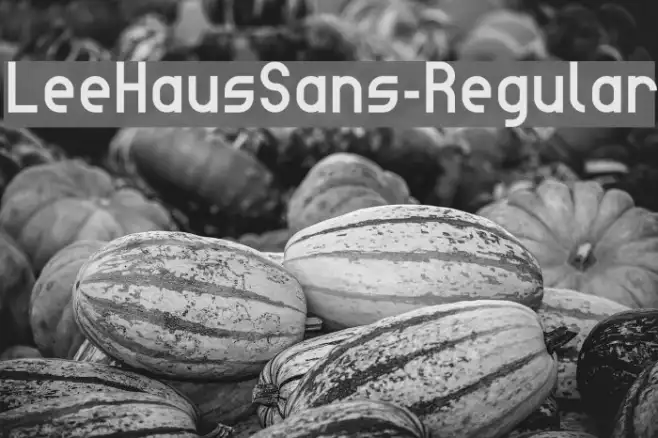 LeeHausSans-Regular Example 1