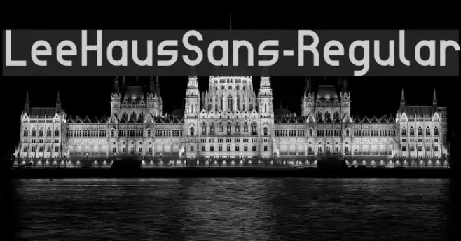 LeeHausSans-Regular Example 2