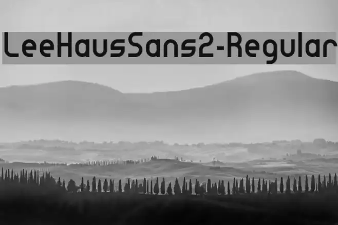 LeeHausSans2-Regular Example 1