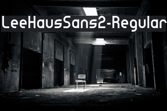 LeeHausSans2-Regular Font examples