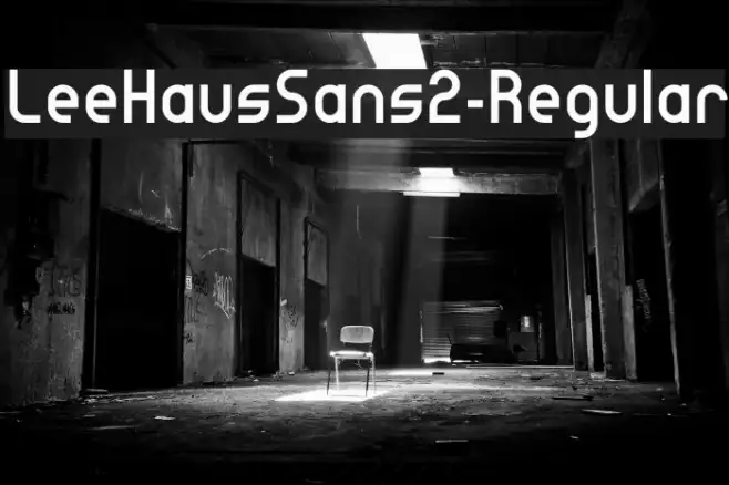 LeeHausSans2-Regular Example 2