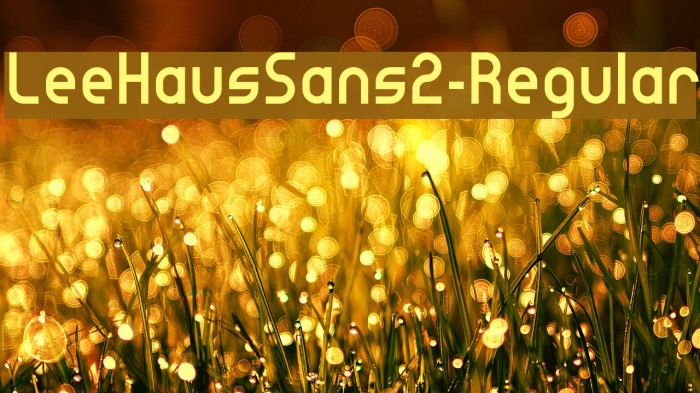 LeeHausSans2-Regular Font examples