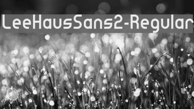LeeHausSans2-Regular Example 3