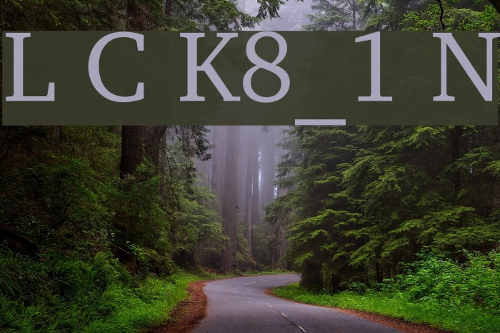 Leeds Cyr Koi8_1 Normal Font examples